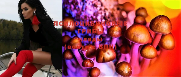 индика Вязьма