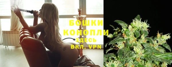 apvp Горнозаводск
