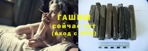 индика Вязьма