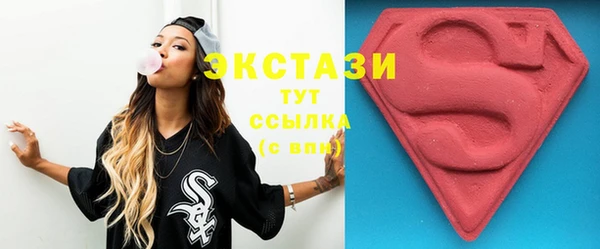 индика Вязьма