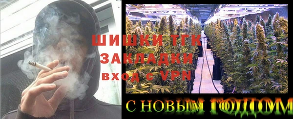 индика Вязьма