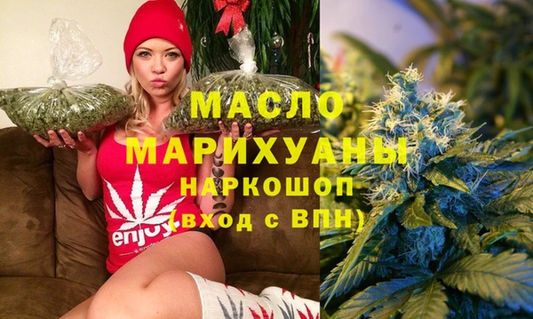 индика Вязьма