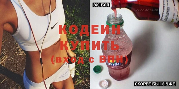 индика Вязьма