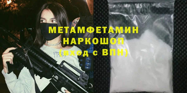 индика Вязьма