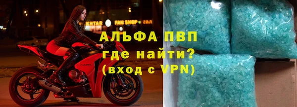индика Вязьма