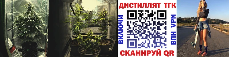 ТГК гашишное масло  купить  цена  Избербаш 