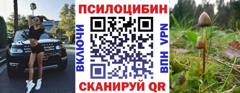 Галлюциногенные грибы MAGIC MUSHROOMS  наркота  Избербаш 